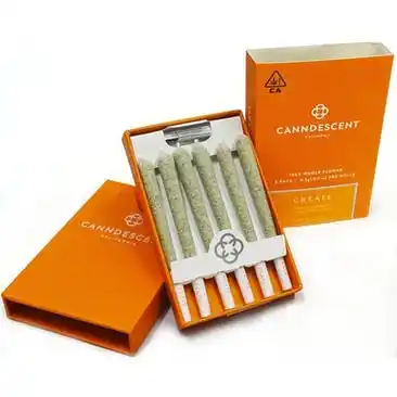 Candescent Create 310 .5g Pre-roll 6 Pack